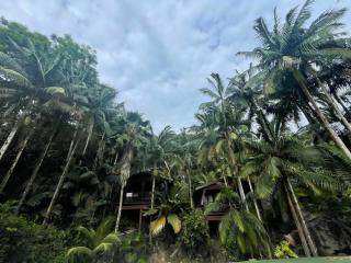 Hillside Retreat - Baie Lazare Mahé - 6
