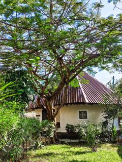 Bushbaby Cottage Diani Beach - with Starlink Highspeed Internet !!!! - 1