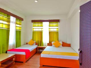 Sherpa Retreat Resort - Padamchen - 2
