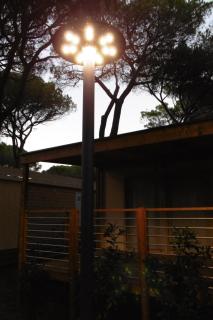 Camping Eden - Marina di Grosseto - 7