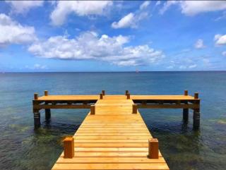 Incredible Sea View - Schœlcher - 9