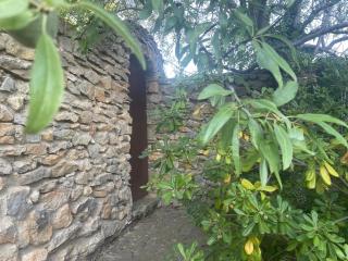 Mas Vigneron - Gruissan - 6
