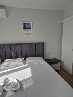 Mosaic Cane Apartment 2 - Tirana - 1