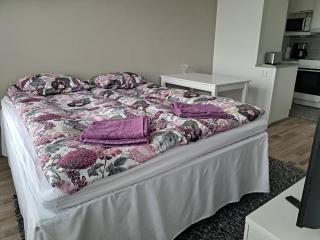Top Floor City Apartment - Rovaniemi - 8
