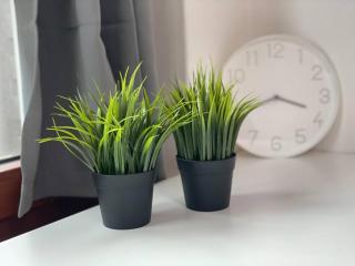 Yeoksam W House r612 - 9