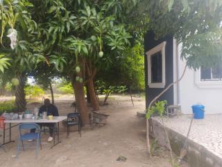 Eden Garden Tujereng - 7