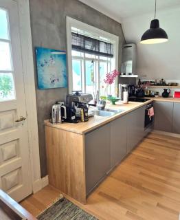 Stylish and unique apartment in downtown Reykjavik - Reikiavik - 1