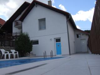 Villa LipaHills - Ripanj - 5
