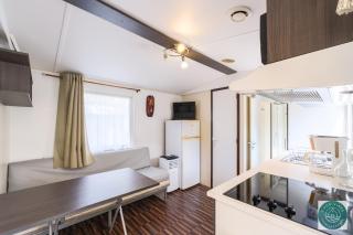 Petit cocon ensoleillé, le mobil-home Alélé - Bias - 1