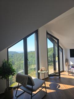 Apartman Devetka Diamond Hill - Divčibare - 2