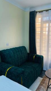 Furnished Studio Apartment at BG Crown Z Towers, Opposite Quickmart Kamakis - Ruiru - 3