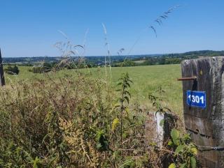 La Campagne Authentique à deux pas de Lisieux - Glos-sur-Lisieux - 4