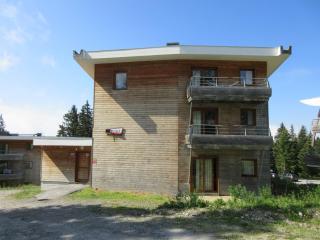 Chamrousse - Cosy Appartement, 4 pers, 30m² - FR-1-549-144 - 1
