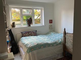 Caribou - Teversham - 5