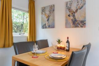 Bos Chalet Natura - Veluwe Putten - naast Saunadrome - 2 gratis e bikes - 5