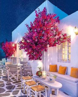 4 Seasons Suites Paradise Athens Airport 2 - Markopoulo - 1