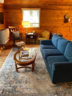 Country Cottage - Penn Yan - 4
