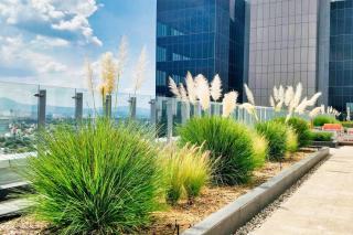 FIFA World Cup Ready Polanco PH Panoramic Views - 7