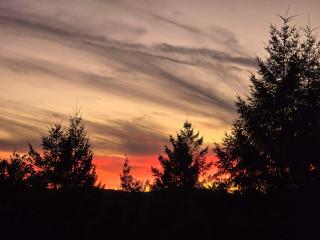 NEW! Top of Pine Mountain VIEWS! - Willits - 1
