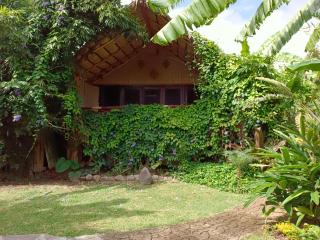Eco Hotel Tahawi - Ajijic - 1