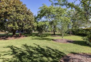 Lifestyle Living - 6