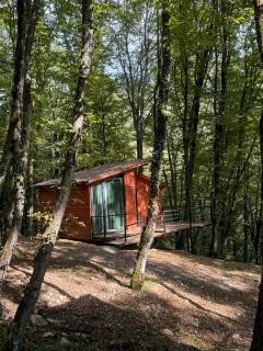 Eco Village In The Forest - 3