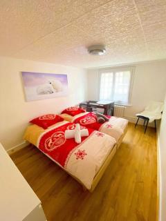 Appartement typique avec Carnotzet - Crans-Montana - 5