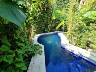Eco Hotel Tahawi - Ajijic - 5