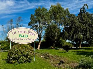 Les Vieilles Digues - Beauvoir - 9