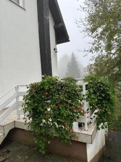 Guesthouse Nikola - Plitvička Jezera - 9