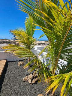 MAAR Suites Cotillo - 2