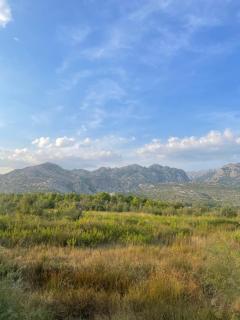 Bajic Apartmani - Seline - 4