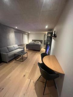 Central lejlighed - 5