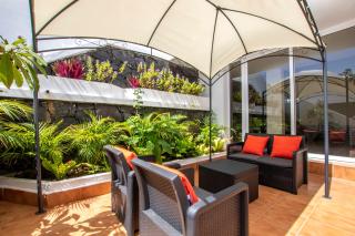 The Mango House - Santa Cruz de Tenerife - 2