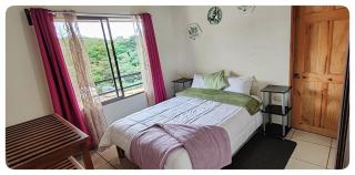 Hostel Coati Place Bed & Breakfast Adults Only - Monteverde - 9