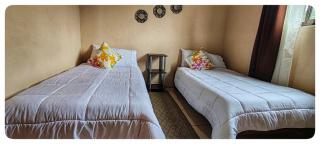Hostel Coati Place Bed & Breakfast Adults Only - Monteverde - 1