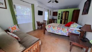 Amanda's Place Green Studio - pool and tropical garden - Caye Caulker - 1