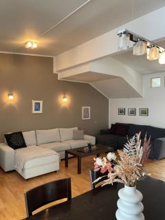 Penthouse on the main street, town center Akureyri - Akureyri - 8
