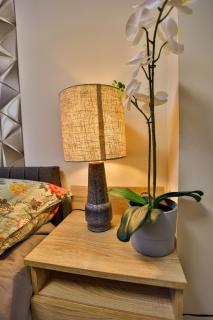 Karolina Apartman in the silent 11th district - 2