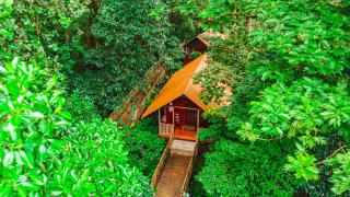 Aninga Lodge - Tortuguero - 5