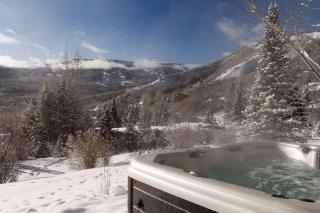 Lemond Place Home - Snowmass Village - 7