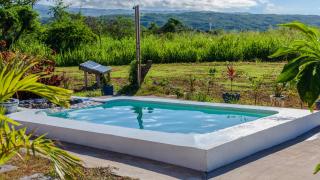 Cashaw Cabin - Private Retreat with a Pool - Treasure Beach - 4