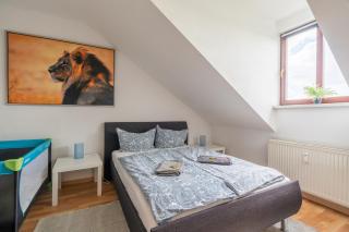 Gemütliche Dachgeschosswohnung -Waldstraßenviertel Leipzig - Leipzig - 3