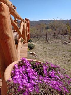 Casa Chachis - 8