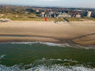 De Platvis - Egmond aan Zee - 0