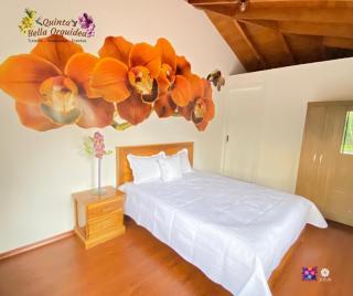 Quinta Bella Orquídea - Sangolquí - 3