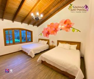 Quinta Bella Orquídea - Sangolquí - 8
