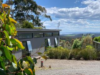 By Moonlight - Wattle Hill - 5