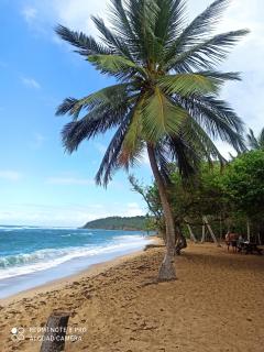 Appartement Alizé Vue Imprenable Sur La mer - 8