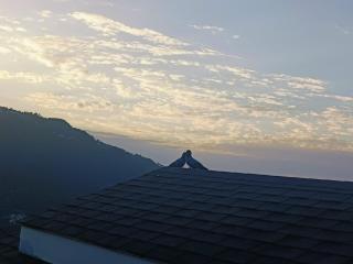 You and Me at Twin Oaks kasauli - 5